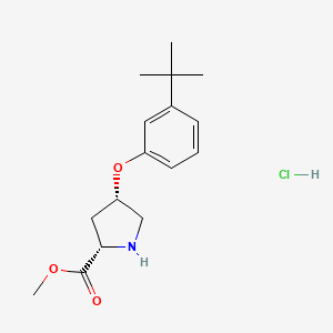 molecular formula C16H24ClNO3 B1456313 Methyl (2S,4S)-4-[3-(tert-butyl)phenoxy]-2-pyrrolidinecarboxylate hydrochloride CAS No. 1354487-90-3