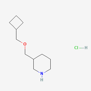molecular formula C11H22ClNO B1456320 Cyclobutylmethyl 3-piperidinylmethyl ether hydrochloride CAS No. 1211505-35-9