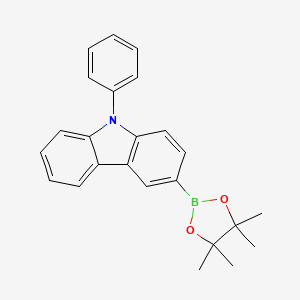 molecular formula C24H24BNO2 B1456720 9-苯基-3-(4,4,5,5-四甲基-1,3,2-二氧杂硼环-2-基)-9H-咔唑 CAS No. 1126522-69-7