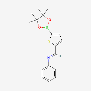 molecular formula C17H20BNO2S B1456829 苯基-[5-(4,4,5,5-四甲基-[1,3,2]二氧杂硼环-2-基)-噻吩-2-基亚甲基]-胺 CAS No. 1257651-22-1