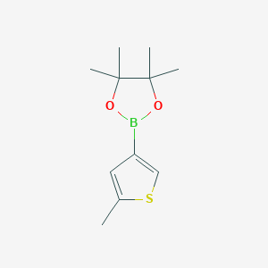 molecular formula C11H17BO2S B1457093 4,4,5,5-tetraMethyl-2-(5-Methylthiophen-3-yl)-1,3,2-dioxaborolane CAS No. 874959-74-7