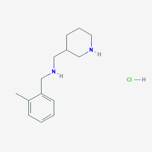molecular formula C14H23ClN2 B1457303 N-(2-甲基苄基)-1-(哌啶-3-基)甲胺盐酸盐 CAS No. 1289388-53-9