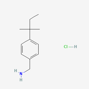 molecular formula C12H20ClN B1457346 [4-(2-Methylbutan-2-yl)phenyl]methanamine hydrochloride CAS No. 1423029-52-0