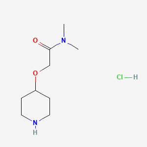 molecular formula C9H19ClN2O2 B1457865 N,N-二甲基-2-(哌啶-4-氧基)乙酰胺盐酸盐 CAS No. 1384430-00-5