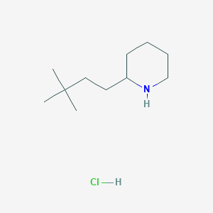 B1457952 2-(3,3-Dimethylbutyl)piperidine hydrochloride CAS No. 1864064-88-9