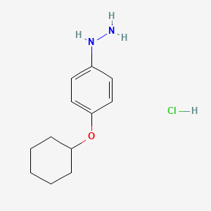 molecular formula C12H19ClN2O B1457997 (4-环己氧基苯基)-肼盐酸盐 CAS No. 350683-68-0