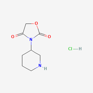 B1458034 3-(Piperidin-3-yl)oxazolidine-2,4-dione hydrochloride CAS No. 1823248-37-8