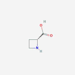 molecular formula C4H7NO2 B014582 (R)-氮杂环丁烷-2-羧酸 CAS No. 7729-30-8