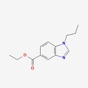 molecular formula C13H16N2O2 B1458328 Ethyl 1-propyl-1,3-benzodiazole-5-carboxylate CAS No. 1354408-67-5