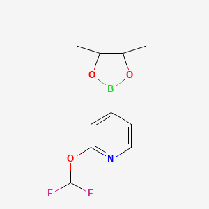 molecular formula C12H16BF2NO3 B1458387 2-(二氟甲氧基)-4-(4,4,5,5-四甲基-1,3,2-二氧杂硼环兰-2-基)吡啶 CAS No. 1628116-87-9
