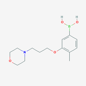 molecular formula C14H22BNO4 B1458564 (4-Methyl-3-(3-morpholinopropoxy)phenyl)boronic acid CAS No. 1704066-86-3