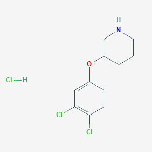 molecular formula C11H14Cl3NO B1458879 3-(3,4-二氯苯氧基)哌啶盐酸盐 CAS No. 1384430-09-4