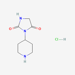 molecular formula C8H14ClN3O2 B1459040 3-(Piperidin-4-yl)imidazolidine-2,4-dione hydrochloride CAS No. 1864052-02-7