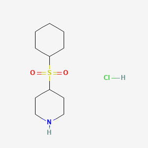 4-(Cyclohexanesulfonyl)piperidine hydrochloride