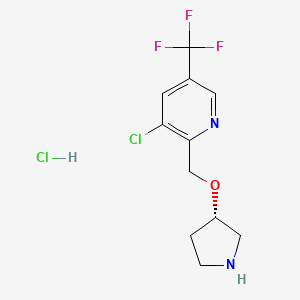 molecular formula C11H13Cl2F3N2O B1459358 3-Chloro-2-[[(3S)-pyrrolidin-3-yl]oxymethyl]-5-(trifluoromethyl)pyridine;hydrochloride CAS No. 1823188-24-4