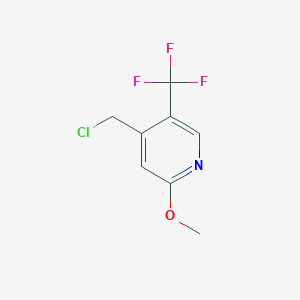 molecular formula C8H7ClF3NO B1459575 4-Chloromethyl-2-methoxy-5-(trifluoromethyl)pyridine CAS No. 1227570-81-1
