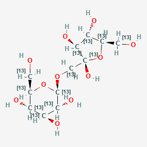 molecular formula C12H22O11 B1459720 [Ul-13C12]sucrose CAS No. 41055-68-9