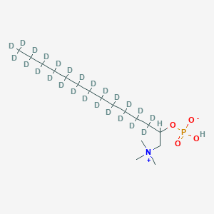 molecular formula C17H38NO4P B1459742 Dodecyl-d25-phosphocholine CAS No. 861924-55-2