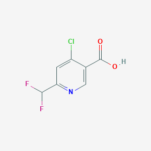 molecular formula C7H4ClF2NO2 B1459773 4-Chloro-6-(difluoromethyl)nicotinic acid CAS No. 1256821-60-9