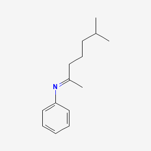 molecular formula C14H21N B14597876 (2E)-6-Methyl-N-phenylheptan-2-imine CAS No. 61285-51-6