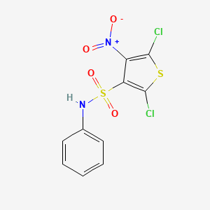 2,5-Dichloro-4-nitro-N-phenylthiophene-3-sulfonamide