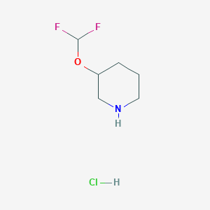 molecular formula C6H12ClF2NO B1459880 3-(二氟甲氧基)哌啶盐酸盐 CAS No. 1638772-02-7