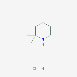 molecular formula C8H18ClN B1459882 2,2,4-三甲基哌啶盐酸盐 CAS No. 2060043-37-8