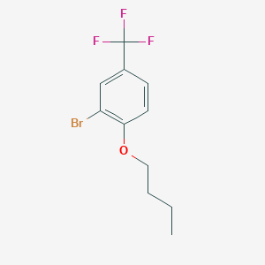 molecular formula C11H12BrF3O B1459910 2-Bromo-1-butoxy-4-(trifluoromethyl)benzene CAS No. 1881295-06-2