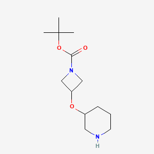 molecular formula C13H24N2O3 B1459912 Tert-butyl 3-(piperidin-3-yloxy)azetidine-1-carboxylate CAS No. 2097966-89-5