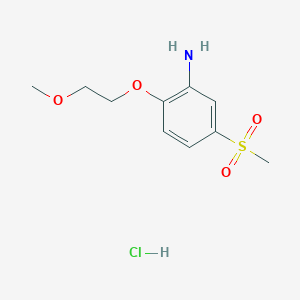 molecular formula C10H16ClNO4S B1460007 5-甲磺酰基-2-(2-甲氧基乙氧基)苯胺盐酸盐 CAS No. 1803612-27-2
