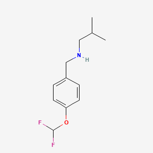 molecular formula C12H17F2NO B1460062 [4-(Difluoromethoxy)benzyl]isobutylamine CAS No. 1019606-11-1