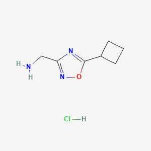 molecular formula C7H12ClN3O B1460123 [(5-环丁基-1,2,4-恶二唑-3-基)甲基]胺盐酸盐 CAS No. 1609401-03-7