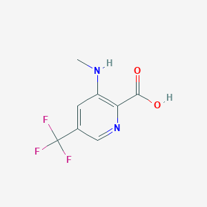 molecular formula C8H7F3N2O2 B1460262 3-(Methylamino)-5-(trifluoromethyl)-pyridine-2-carboxylic acid CAS No. 1987078-32-9