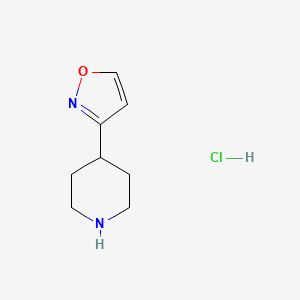 molecular formula C8H13ClN2O B1460306 4-(1,2-Oxazol-3-yl)piperidine hydrochloride CAS No. 1955540-53-0