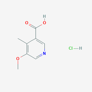 molecular formula C8H10ClNO3 B1460457 5-Methoxy-4-methylpyridine-3-carboxylic acid hydrochloride CAS No. 2059944-48-6