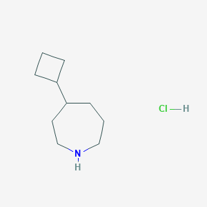 molecular formula C10H20ClN B1460463 4-环丁基氮杂环己烷盐酸盐 CAS No. 2060063-12-7