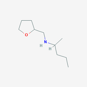 molecular formula C10H21NO B1460961 [(Oxolan-2-yl)methyl](pentan-2-yl)amine CAS No. 1020970-80-2