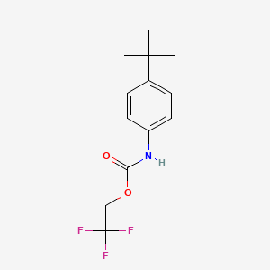 molecular formula C13H16F3NO2 B1460979 2,2,2-trifluoroethyl N-(4-tert-butylphenyl)carbamate CAS No. 1087789-00-1