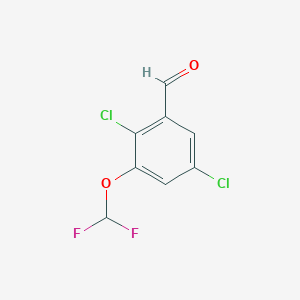 molecular formula C8H4Cl2F2O2 B1461088 2,5-Dichloro-3-(difluoromethoxy)benzaldehyde CAS No. 1803712-06-2