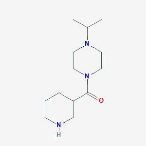 1-(Piperidine-3-carbonyl)-4-(propan-2-yl)piperazine