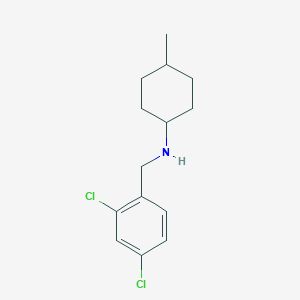 molecular formula C14H19Cl2N B1461421 N-[(2,4-dichlorophenyl)methyl]-4-methylcyclohexan-1-amine CAS No. 1036536-06-7