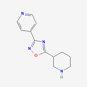 4-[5-(Piperidin-3-yl)-1,2,4-oxadiazol-3-yl]pyridine