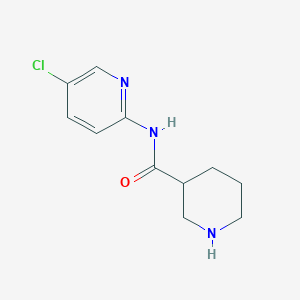 molecular formula C11H14ClN3O B1461429 N-(5-chloropyridin-2-yl)piperidine-3-carboxamide CAS No. 1152558-68-3