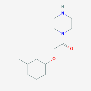 molecular formula C13H24N2O2 B1461434 2-[(3-Methylcyclohexyl)oxy]-1-(piperazin-1-yl)ethan-1-one CAS No. 1039317-77-5
