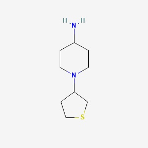 molecular formula C9H18N2S B1461443 1-(Thiolan-3-yl)piperidin-4-amine CAS No. 1039954-59-0