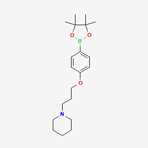 molecular formula C20H32BNO3 B1461670 1-(3-(4-(4,4,5,5-四甲基-1,3,2-二氧杂硼环-2-基)苯氧基)丙基)哌啶 CAS No. 401895-68-9