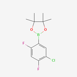 molecular formula C12H14BClF2O2 B1461712 2-(5-Chloro-2,4-difluorophenyl)-4,4,5,5-tetramethyl-1,3,2-dioxaborolane CAS No. 1073354-65-0