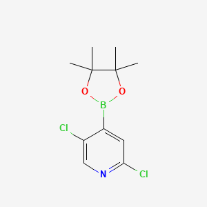 molecular formula C11H14BCl2NO2 B1461733 2,5-Dichloro-4-(4,4,5,5-tetramethyl-1,3,2-dioxaborolan-2-yl)pyridine CAS No. 1073353-98-6