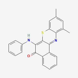 molecular formula C24H18N2OS B14619490 5H-Benzo[a]phenothiazin-5-one, 9,11-dimethyl-6-(phenylamino)- CAS No. 60598-43-8