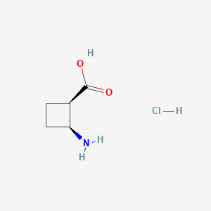 molecular formula C5H10ClNO2 B1461975 cis-2-Aminocyclobutanecarboxylic acid hydrochloride CAS No. 551936-38-0